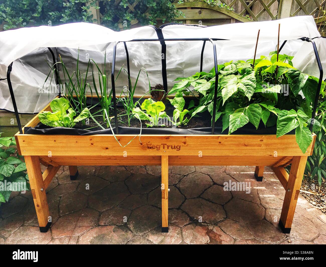 Veg Trug - Smartphone-aufgenommenes Stockfoto