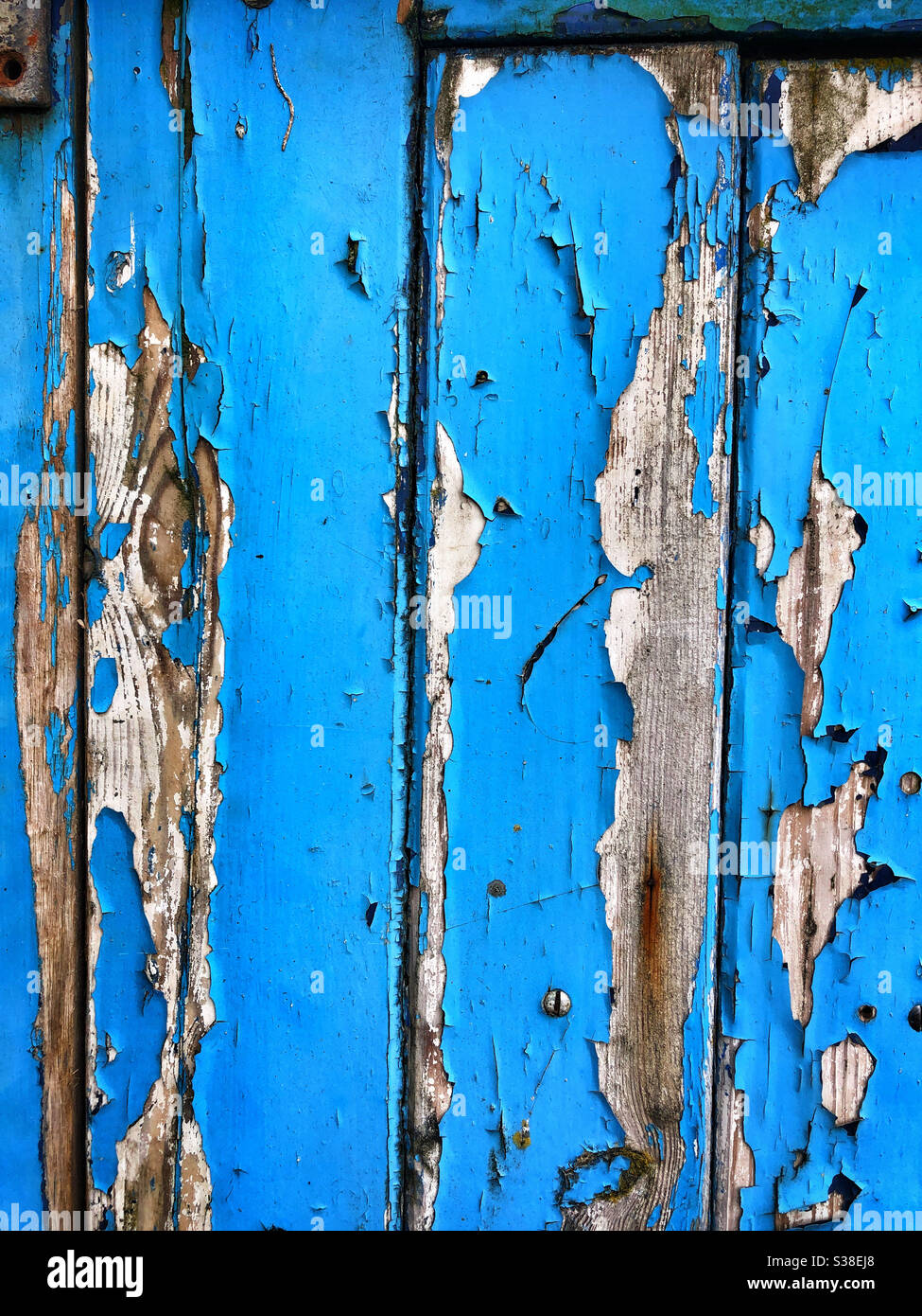 Alte blaue Farbe, die von einer hölzernen Garagentür abblättet Stockfoto