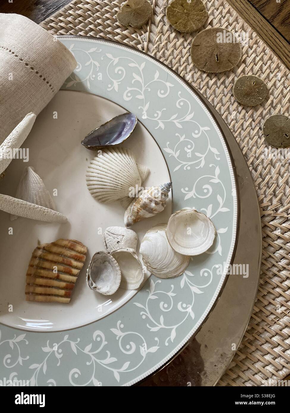 Muscheln und Sanddollars liegen auf einem dekorativen Tischset Stockfoto