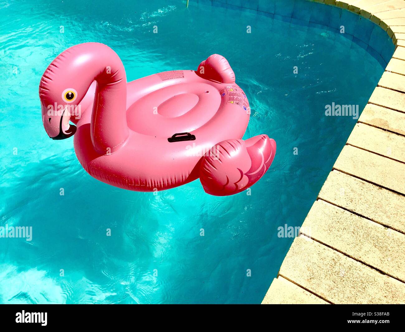 Schwimmbad schwimmt Schwan rosa in einem Pool Stockfoto