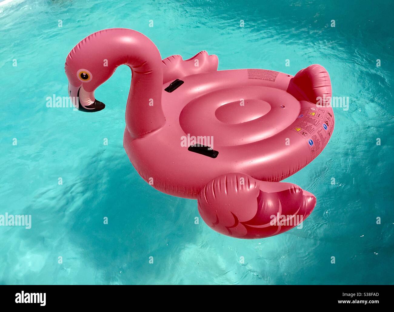 Schwimmbad schwimmt Schwan rosa in einem Pool Stockfoto