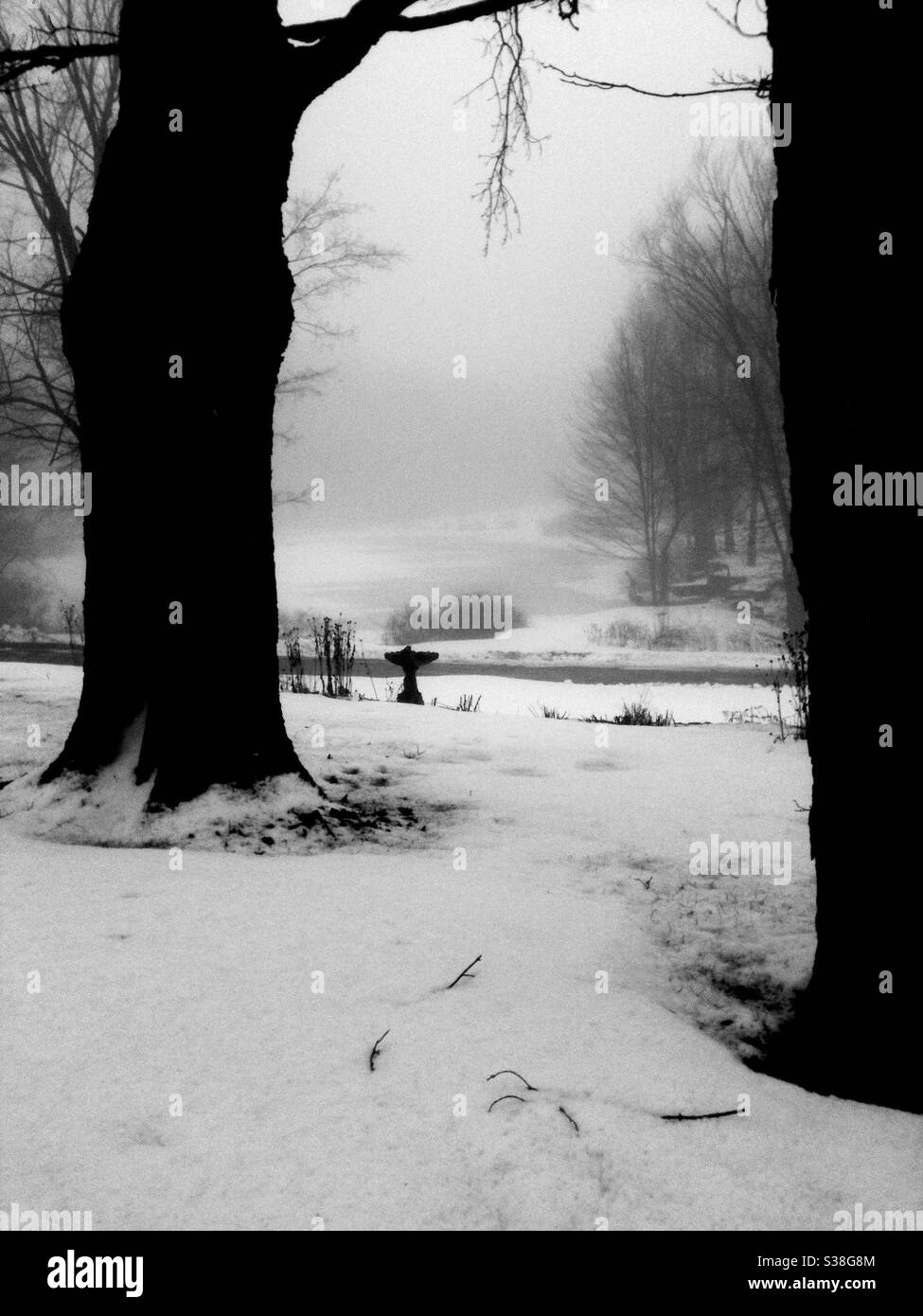 Winterschneeszene im ländlichen Gebiet von Neuengland mit Blick durch Ahornbäume und einen schneebedeckten Fluss. Stockfoto