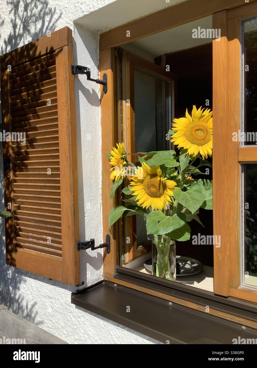 Fenster mit Fensterläden verziert mit einem Bündel von geernteten blühenden Sonnenblumen auf der Fensterbank in einem alten bayerischen Bauernhaus Stockfoto
