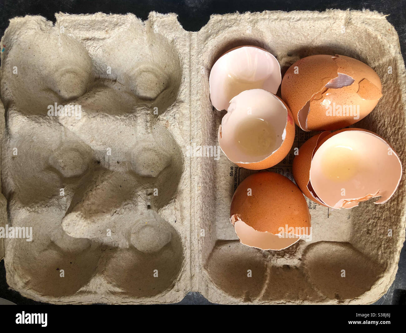 Eierschalen in einer Eierbox leeren. Stockfoto