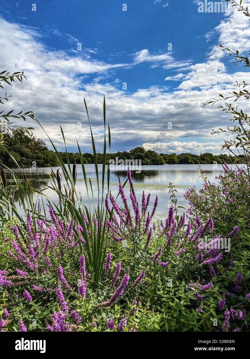 Spaziergänge - Smartphone-aufgenommenes Stockfoto