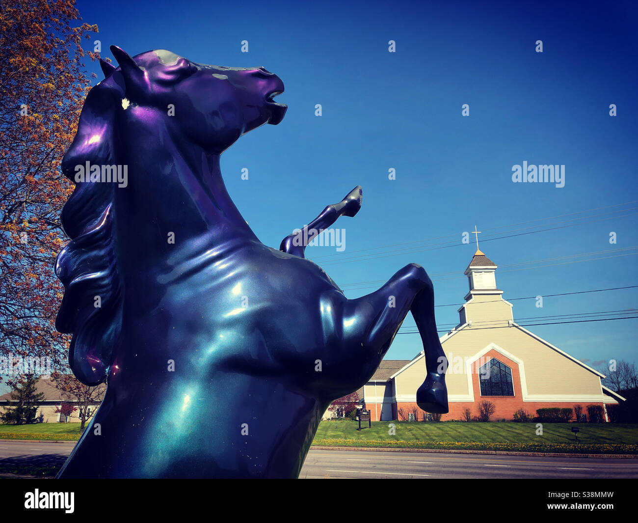 Fake horse -Fotos und -Bildmaterial in hoher Auflsung  Alamy