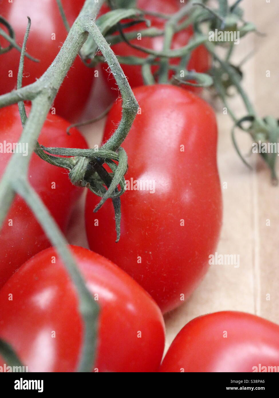 Am Rebstock - Smartphone-aufgenommenes Stockfoto