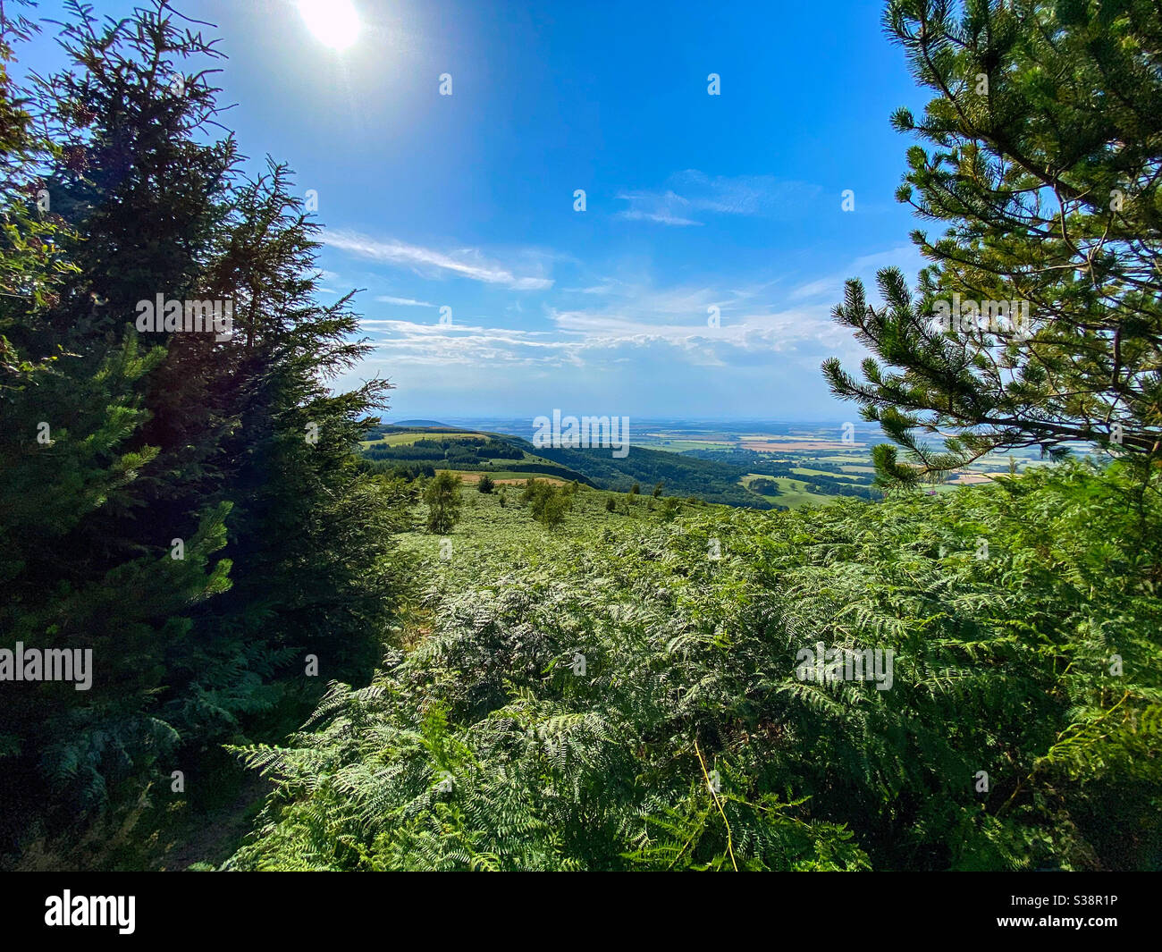 Tees Tal Felder und Wiesen durch den Wald des Herrn Stone's Country Park Stockfoto