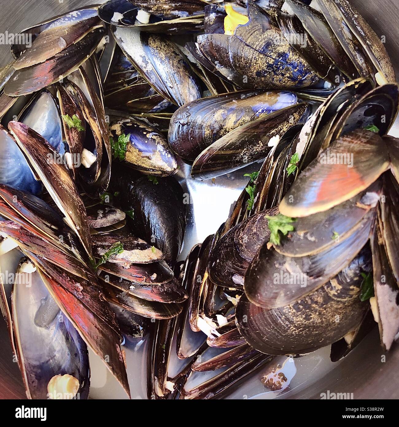 Leere Muscheln Schalen gestapelt nach dem Essen « Moules marinières’ Schalentiere. - Smartphone-aufgenommenes Stockfoto