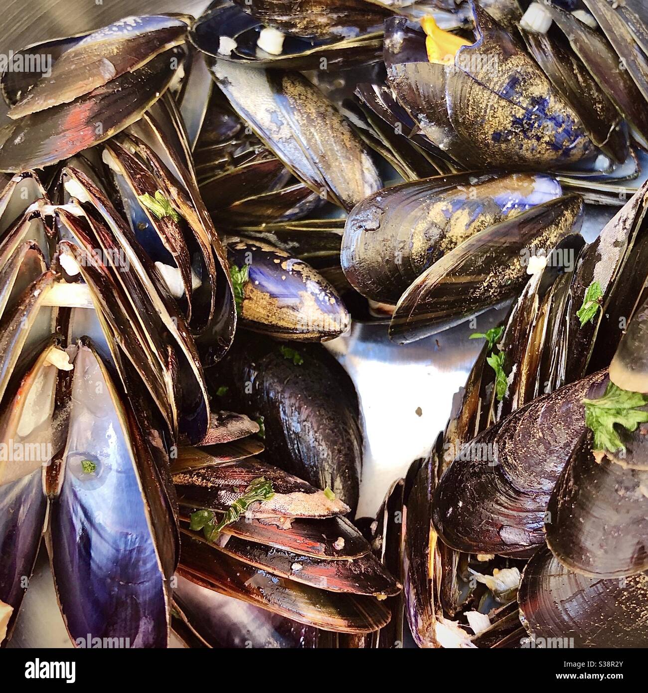 Leere ‘moules marinières’ Muscheln auf dem Speiseteller im französischen Restaurant zusammengeschichtet. - Smartphone-aufgenommenes Stockfoto