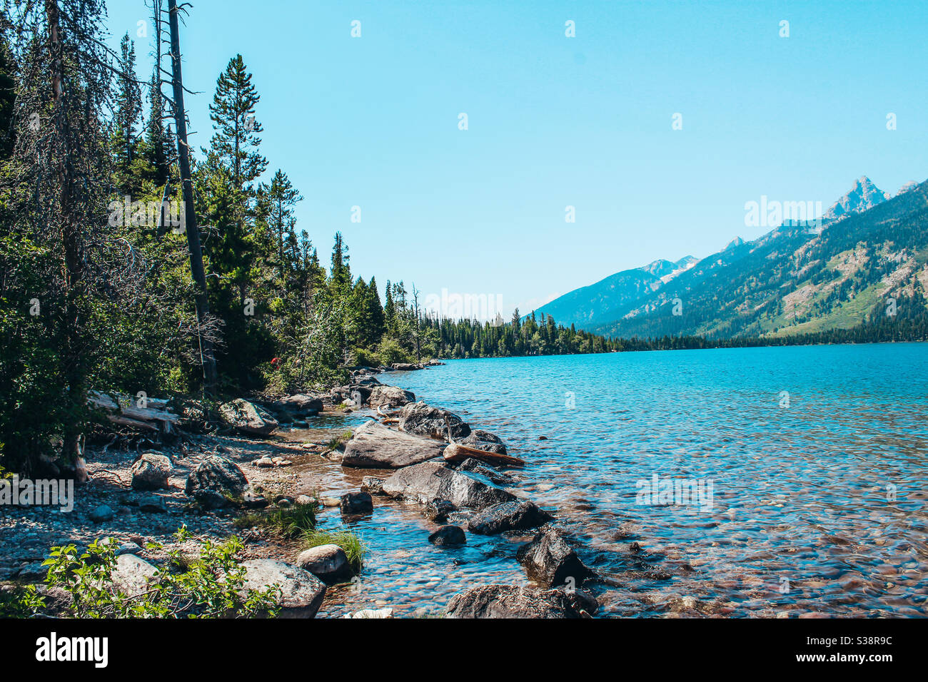 Lakeside • Grand Teton National Park Stockfoto