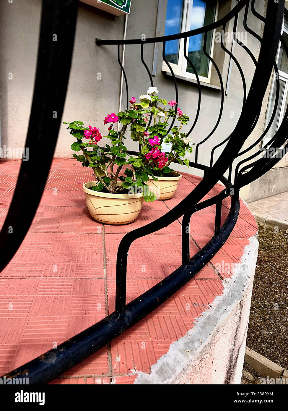 Dekoration mit Innenblumen Stockfoto