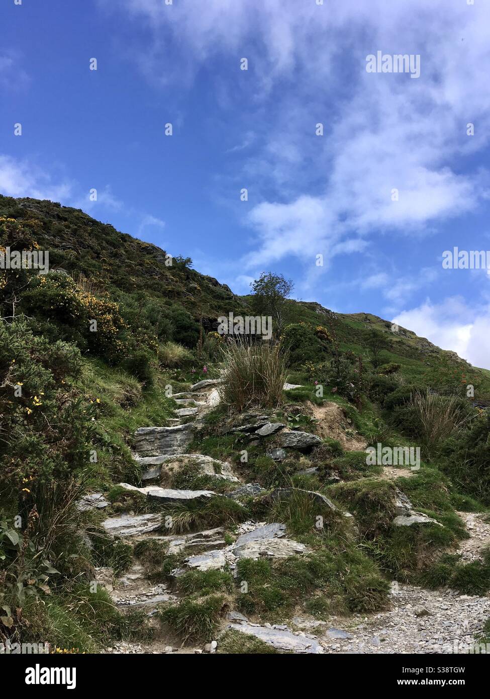 Felsstufen, die einen Berg in Wales hinauf führen - Smartphone-aufgenommenes Stockfoto