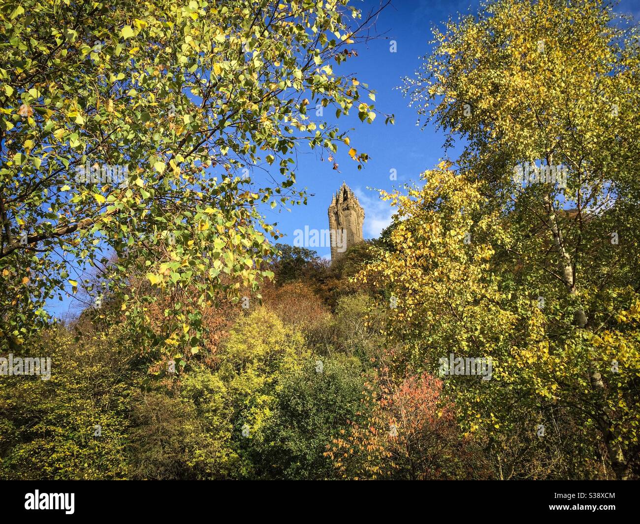 Herbstblätter umgeben das Wallace Monument in Stirling, Schottland Stockfoto