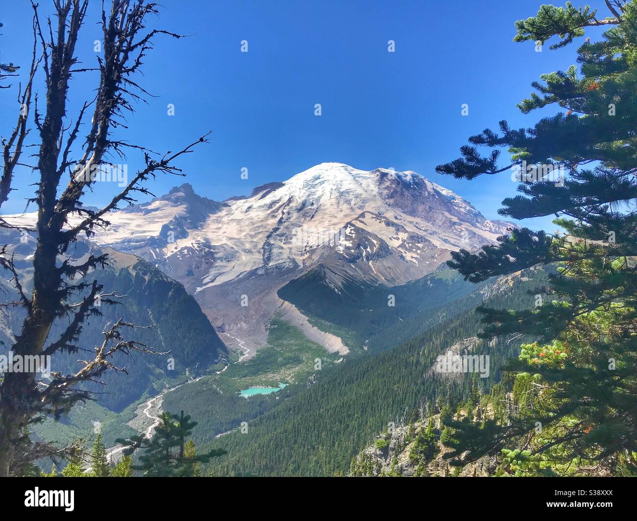 Blick von der Sunrise Lodge im Mount Rainer National Park, Washington State, USA Stockfoto