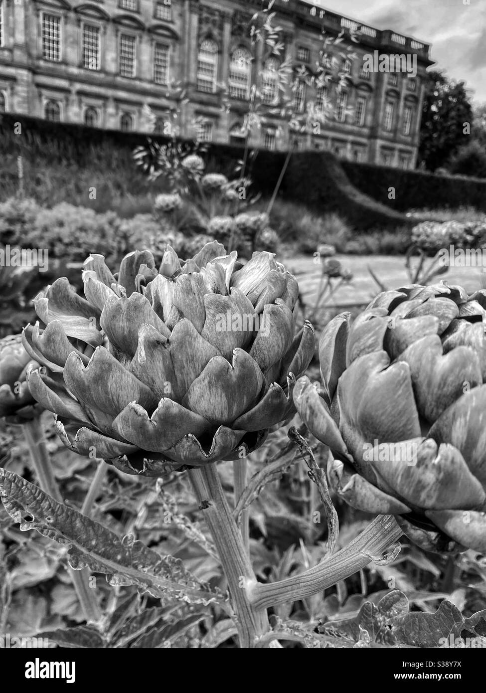 Sir John Arnold Gardens, Herrenhaus in Wentworth Castle, Yorkshire Stockfoto