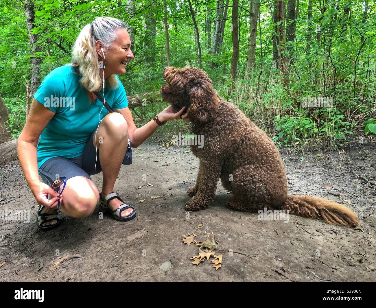 Eine Frau und ein Hund verbinden sich im Park. Stockfoto
