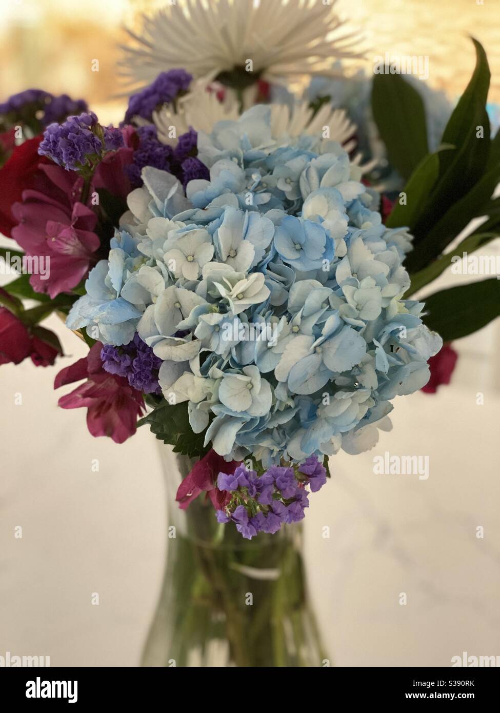Anordnung von Blumen in einer Vase mit Hintergrundbeleuchtung Stockfoto