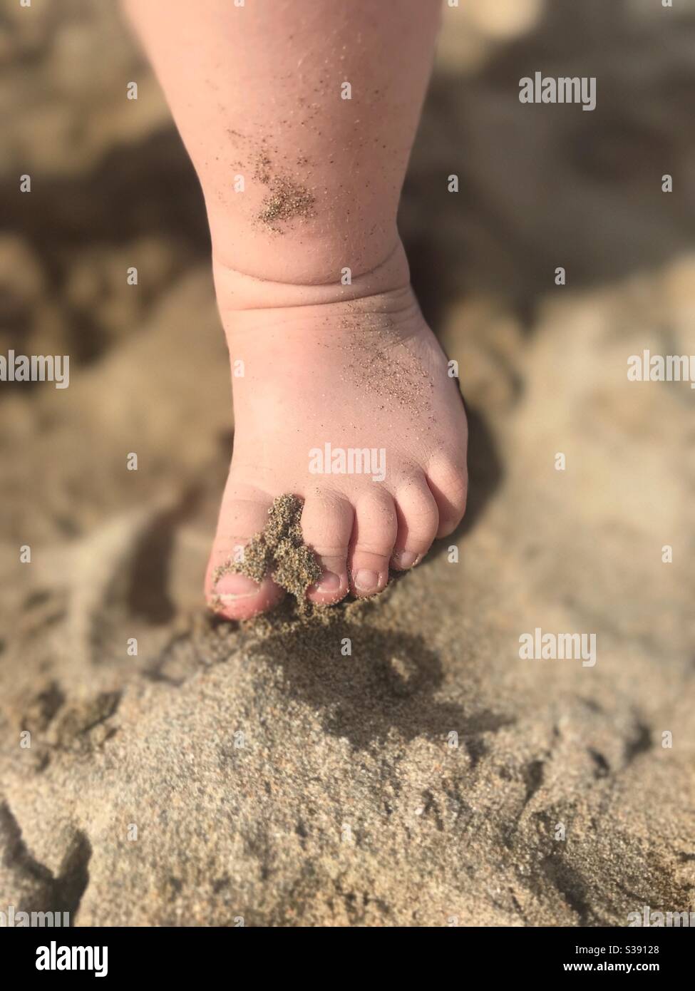 Sandy Zehen Stockfoto