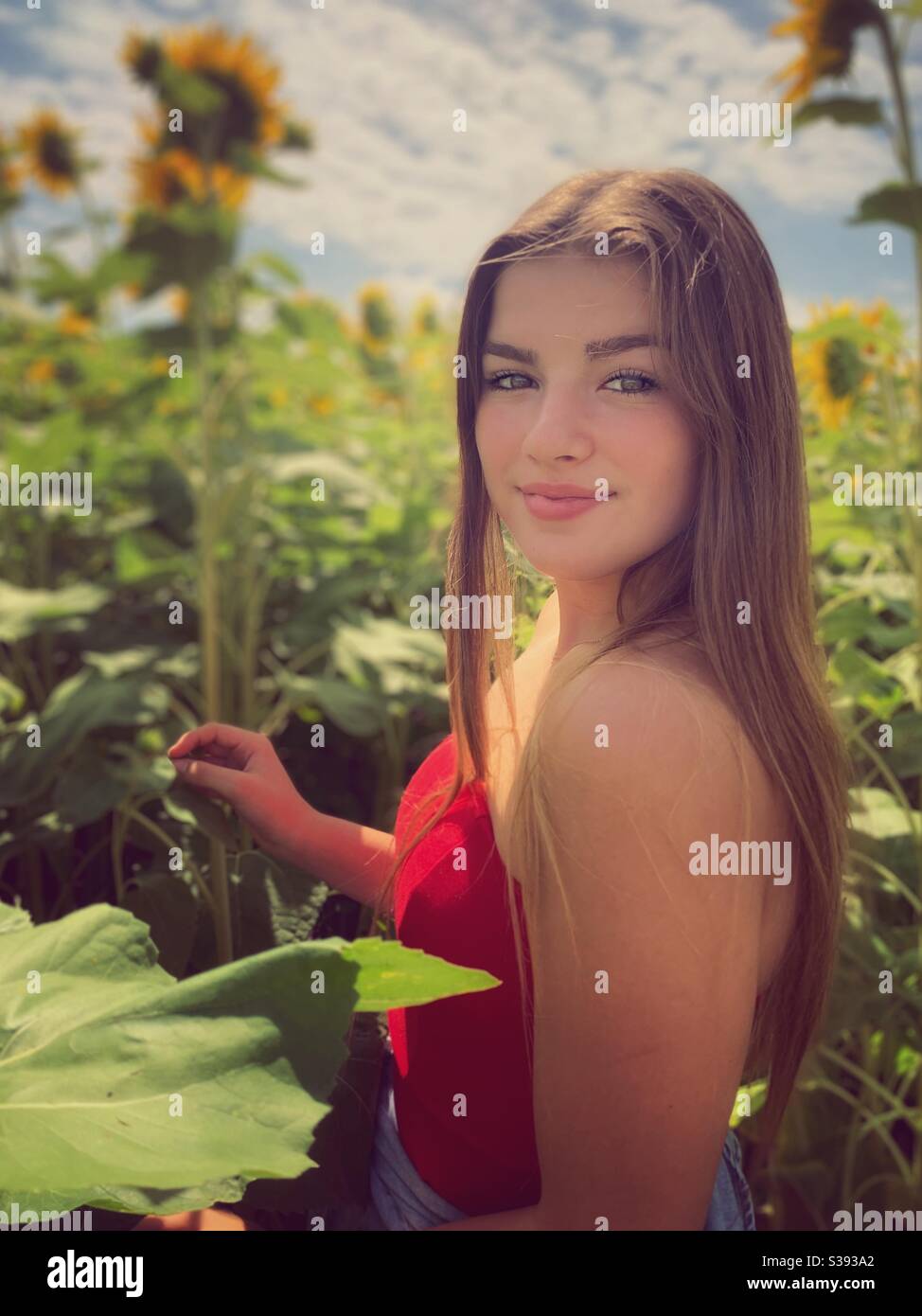 Junge Teenager-Mädchen posiert in einem Sonnenblumen-Patch. Stockfoto