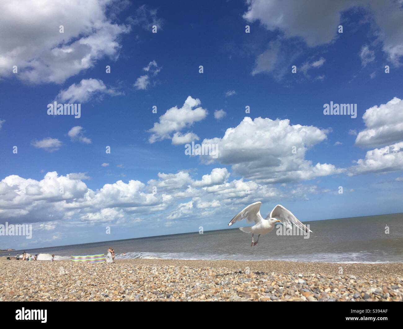 Seagull fliegt, Aldeburgh, Suffolk - Smartphone-aufgenommenes Stockfoto