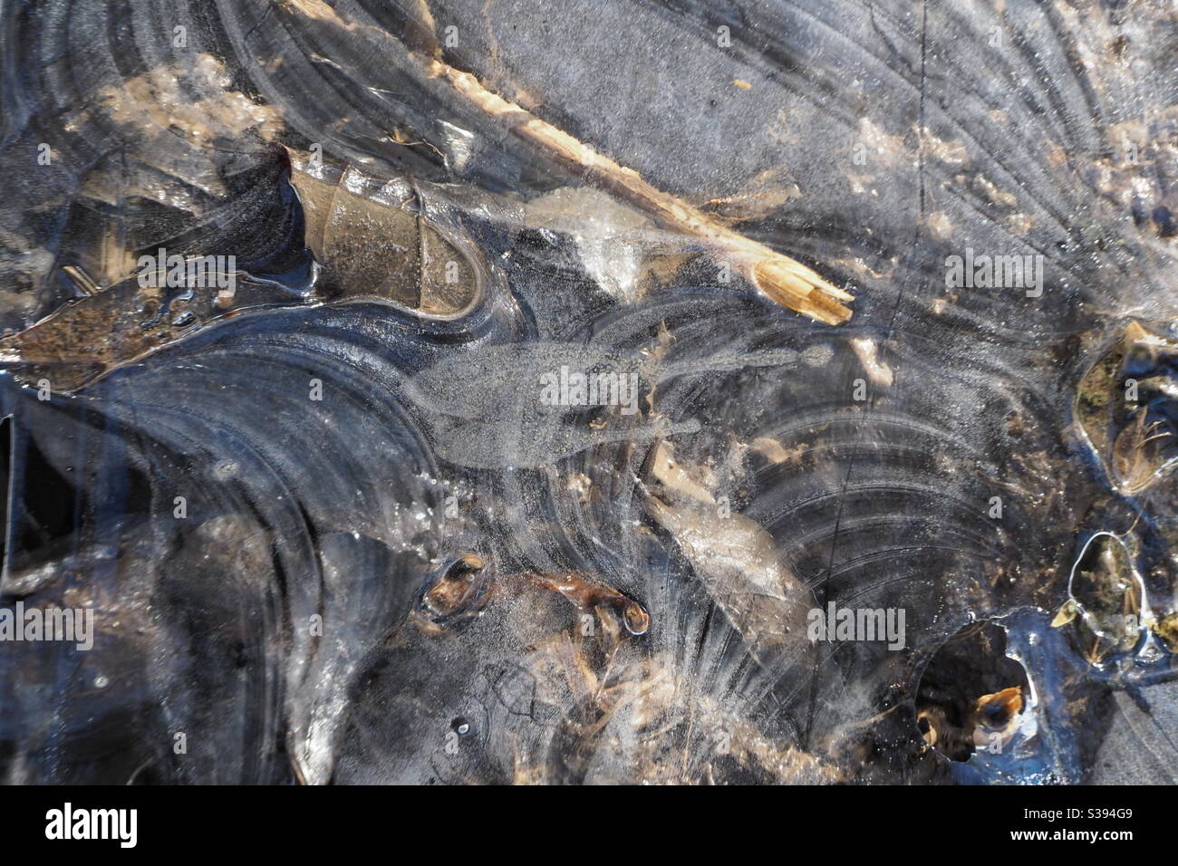 Eismuster auf dem Boden auf gefrorener Pfütze mit Blättern und Schmutz auf dem Boden Stockfoto