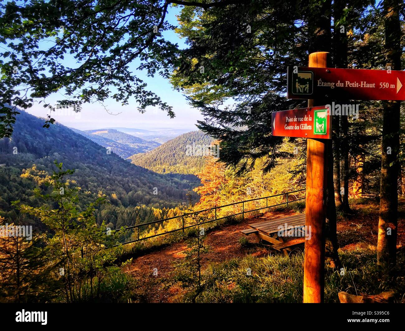 Point de vue Vosges en France Stockfoto