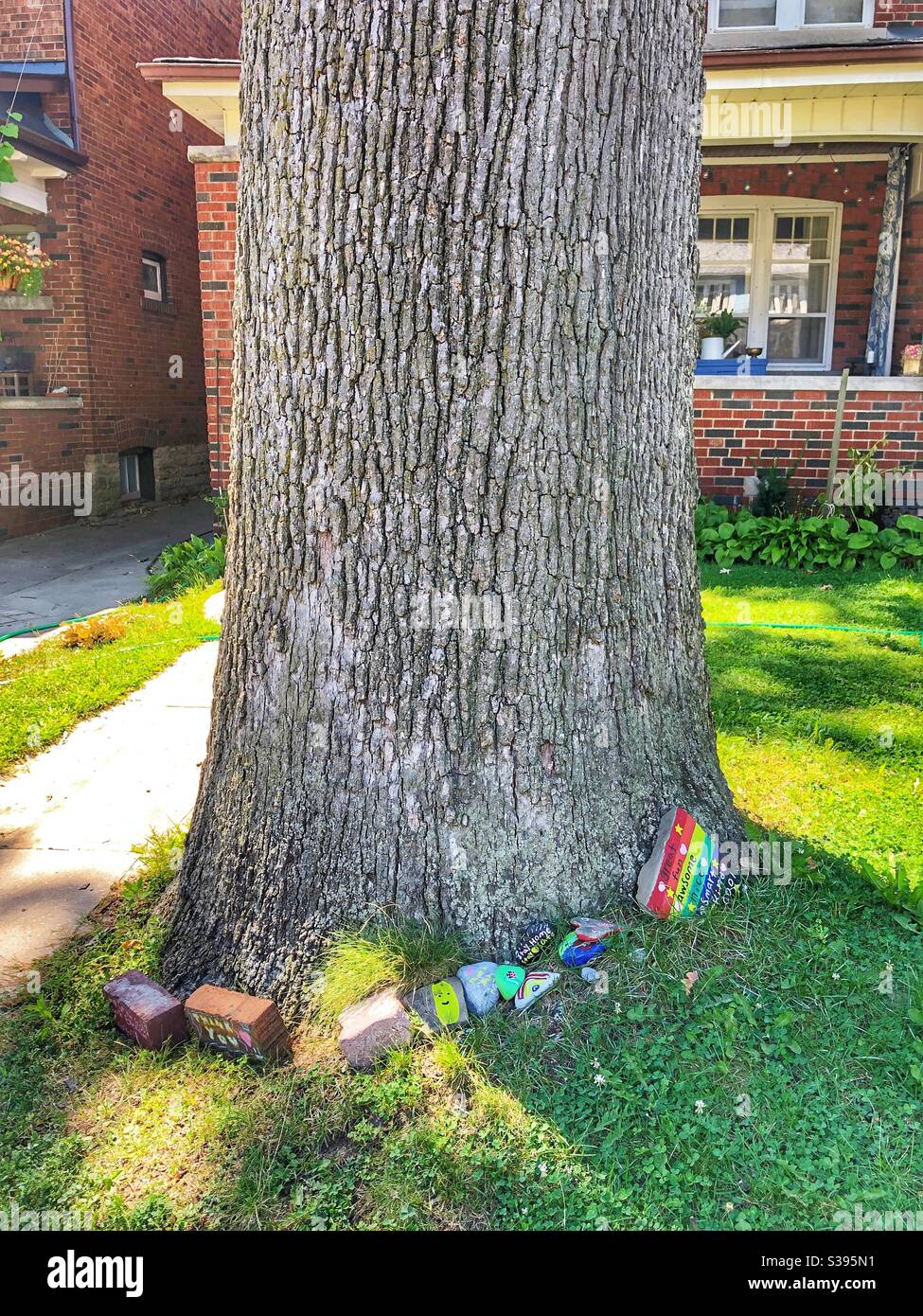 Bunt bemalte Steine um einen Baum gelegt. - Smartphone-aufgenommenes Stockfoto