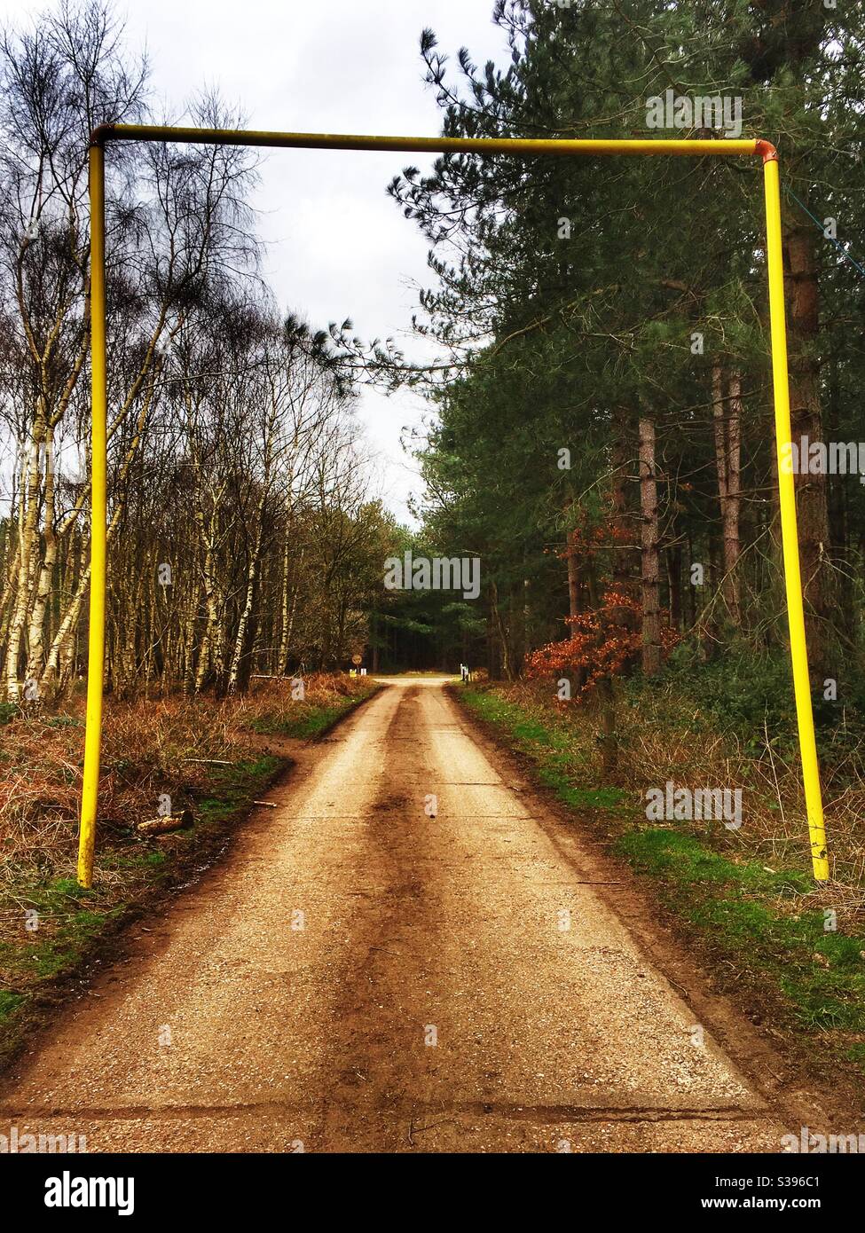 East Gate Road, wo im Jahr 1989 in der Nähe der Woodbridge American Air Base wird angenommen, dass ein UFO abgestürzt landete in der Nähe Rendelsham Wald. - Smartphone-aufgenommenes Stockfoto