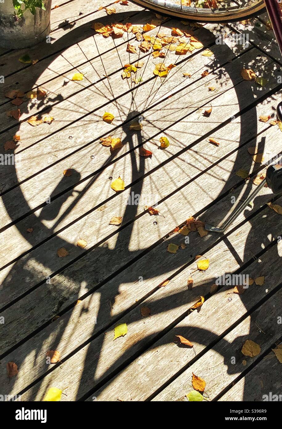 Radschatten für Fahrräder. Stockfoto