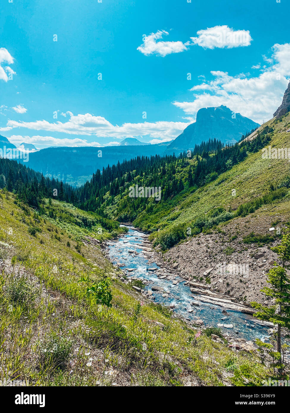 Fluss, der durch Berge und Bäume fließt Stockfoto