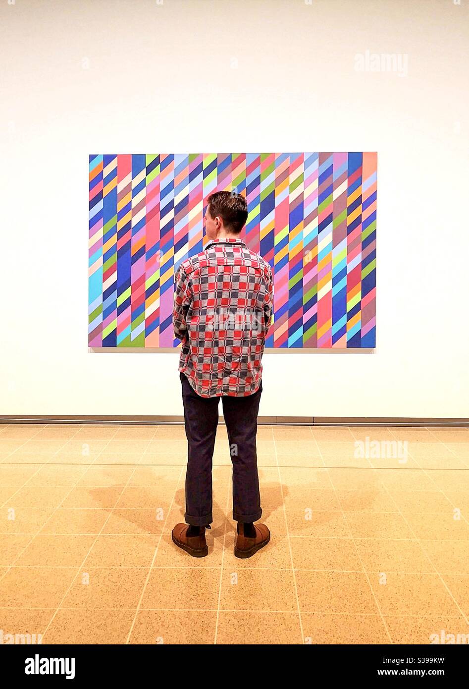 Besucher mit kontrastierendem Musterhemd in der Kunstgalerie vorne Von Bridget Riley Malerei Stockfoto