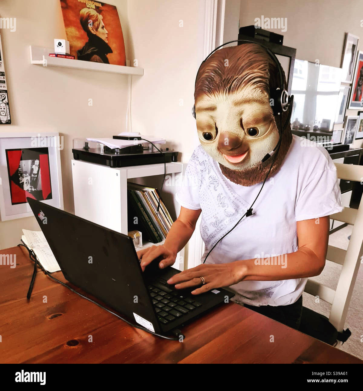 Admin-Faultier - Smartphone-aufgenommenes Stockfoto