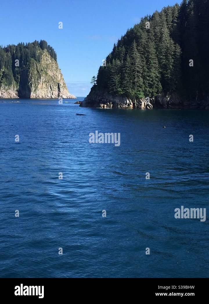 Kenai Fjords Nationalpark - Smartphone-aufgenommenes Stockfoto