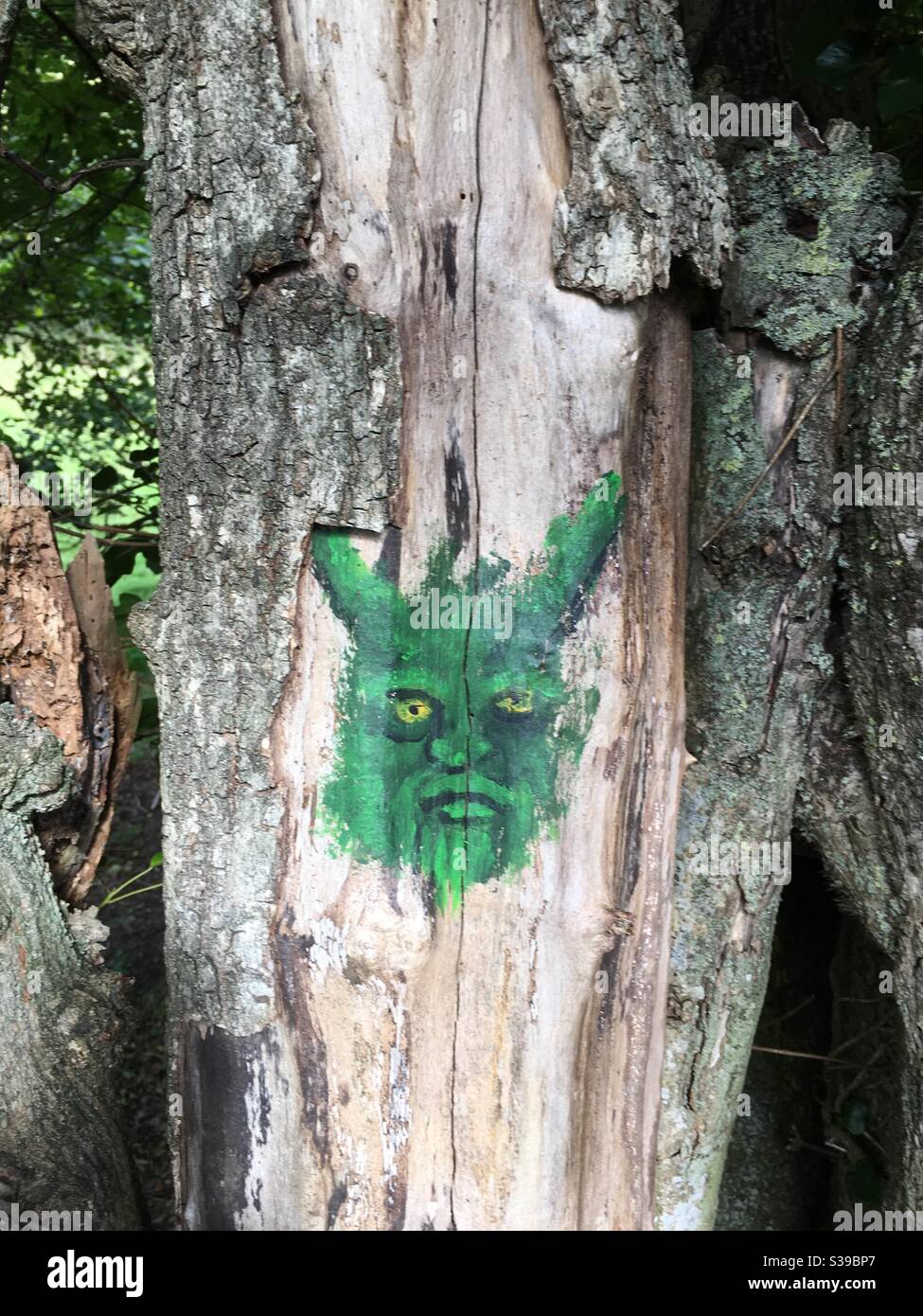 Green man Symbol auf einem alten Baumstamm gemalt Stockfoto