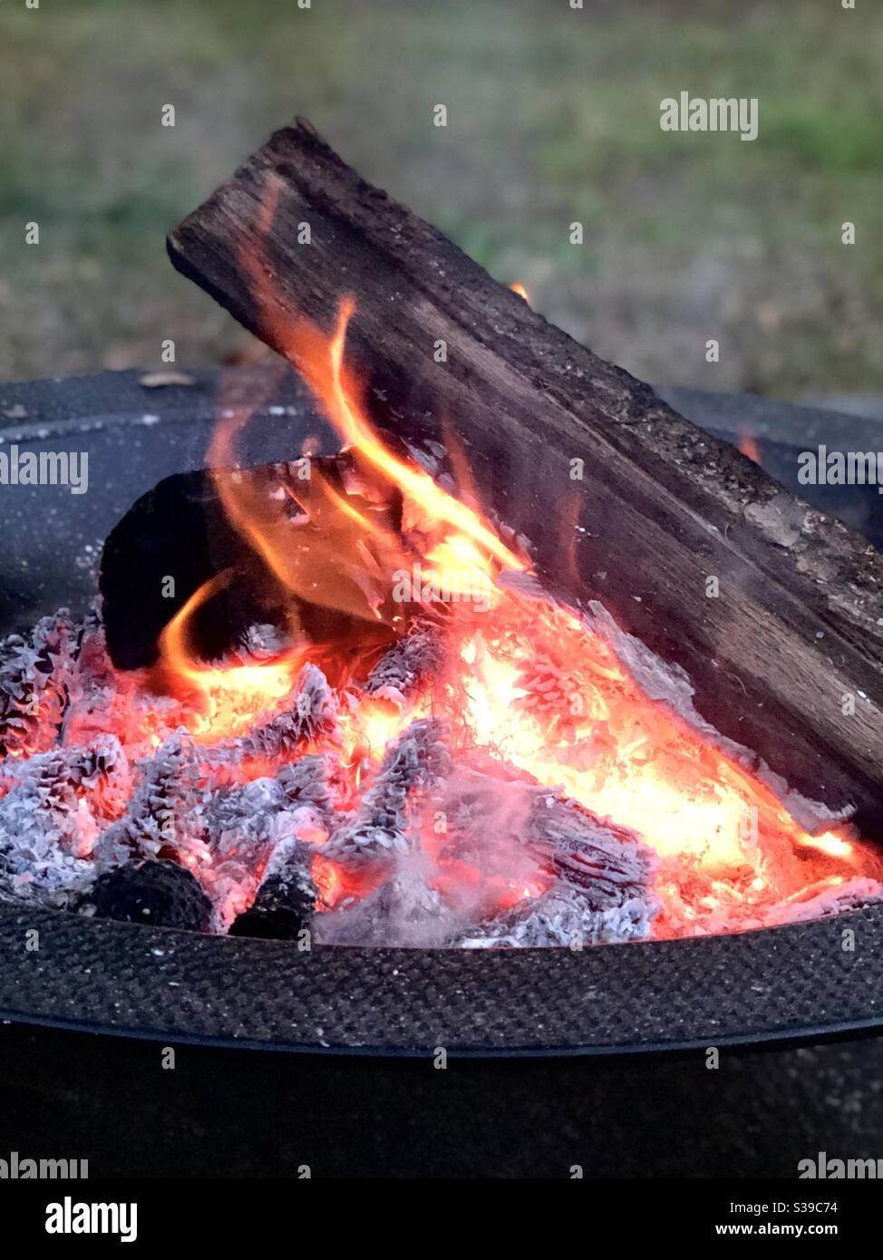 Baumstämme und Tannenzapfen sorgen für ein einladendes Feuer Eine kühle Nacht Stockfoto