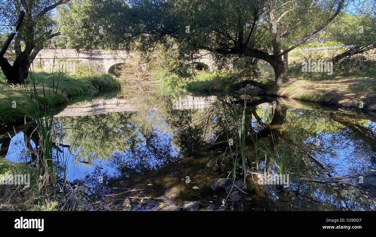 Puente del Herreño, Herreño Brücke.erbaut von Carlos III im Jahr 1784, ist es Teil der "Camino Real de Madrid a Castilla la Vieja.unter seinem Hauptbogen der Guadarrama Fluss auf seinem Weg durch Galapagar passiert Stockfoto