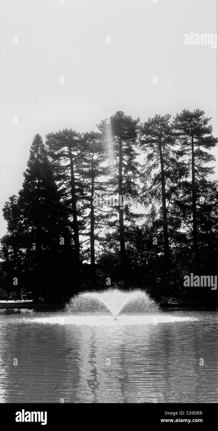 Wasserbrunnen am See in Bedford Park, Bedfordshire, England, Großbritannien. - Smartphone-aufgenommenes Stockfoto