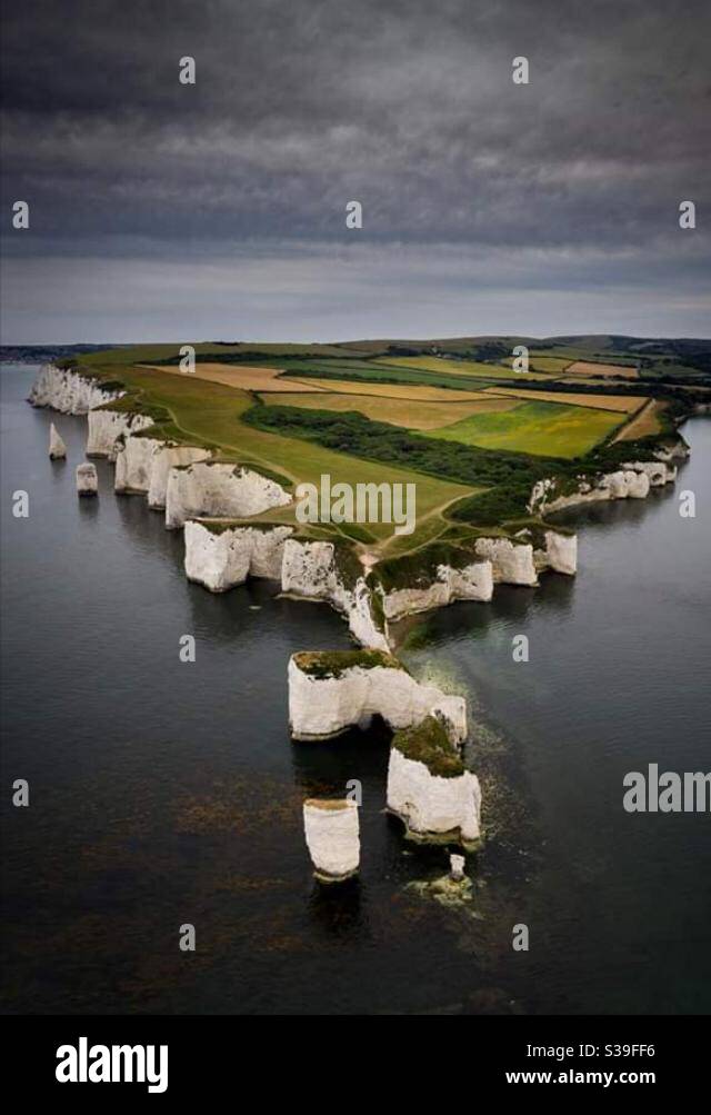 Old Harry Rocks Stockfoto