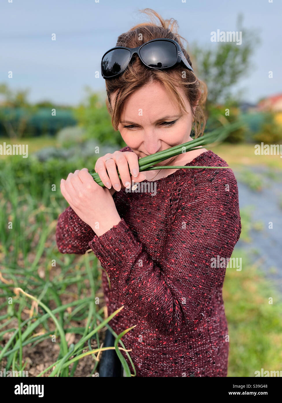 Frau pflücken das Gemüse, arbeiten in einem Hausgarten im Hinterhof. Ehrliche Menschen, echte Momente, authentische Situationen Stockfoto