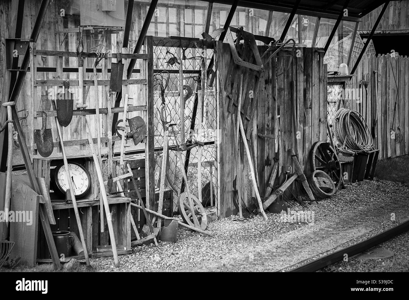 Schwarz-weiß, rustikale Geräte und Werkzeuge wie Schaufeln, Pitchfork oder eine Uhr stehen und hängen an einer Holzwand in einem alten Schuppen auf einem Bauernhof Stockfoto