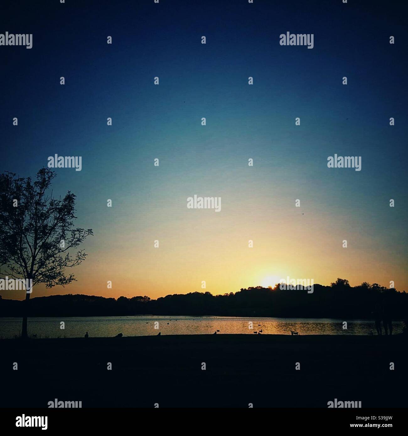 Ein Foto eines Parks mit einem See bei Sonnenuntergang Stockfoto