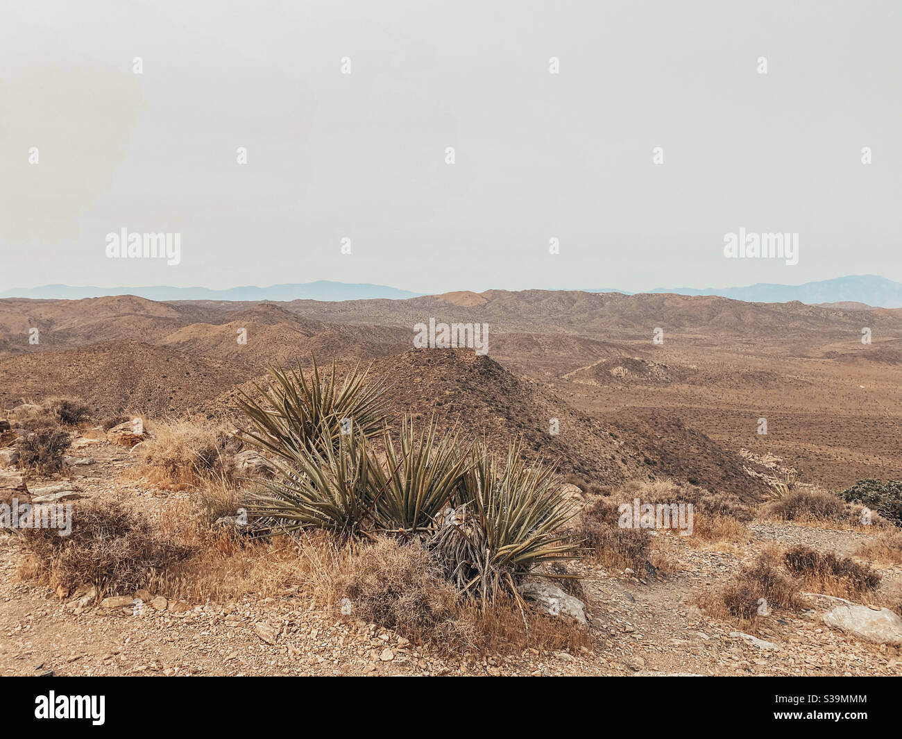 Blick auf die Wüstenlandschaft Stockfoto