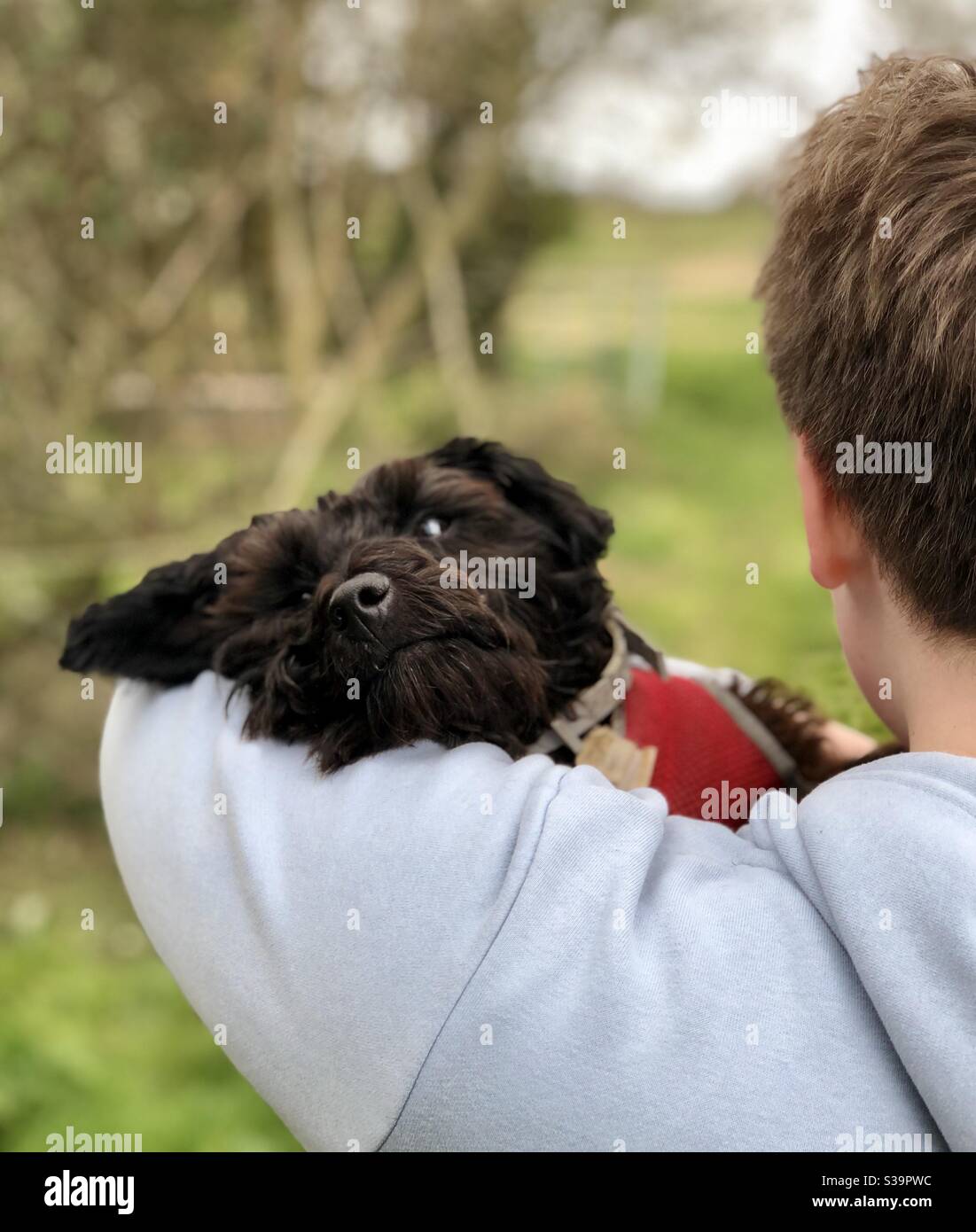 Kleiner Hund wird von einem Kind getragen Stockfoto