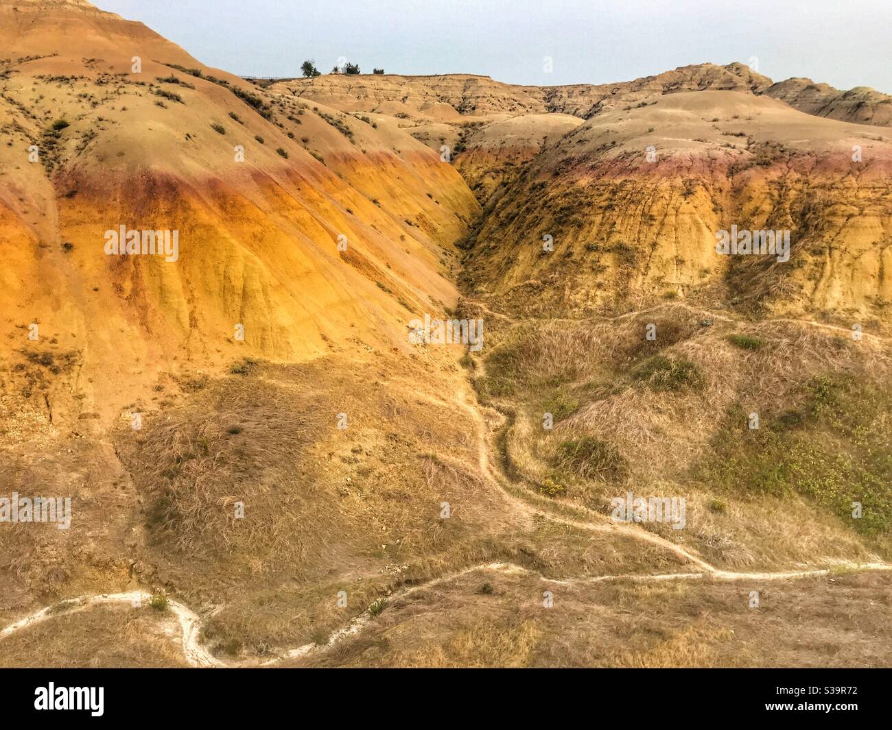 Die Schicht der Gelben Mounds aus geologischer Zeit im Badlands National Park, South Dakota. Stockfoto