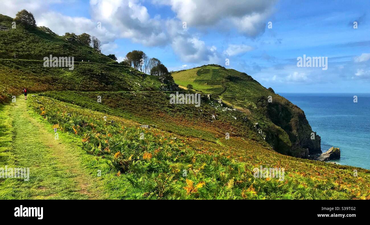 Tal der Felsen. Devon - Smartphone-aufgenommenes Stockfoto