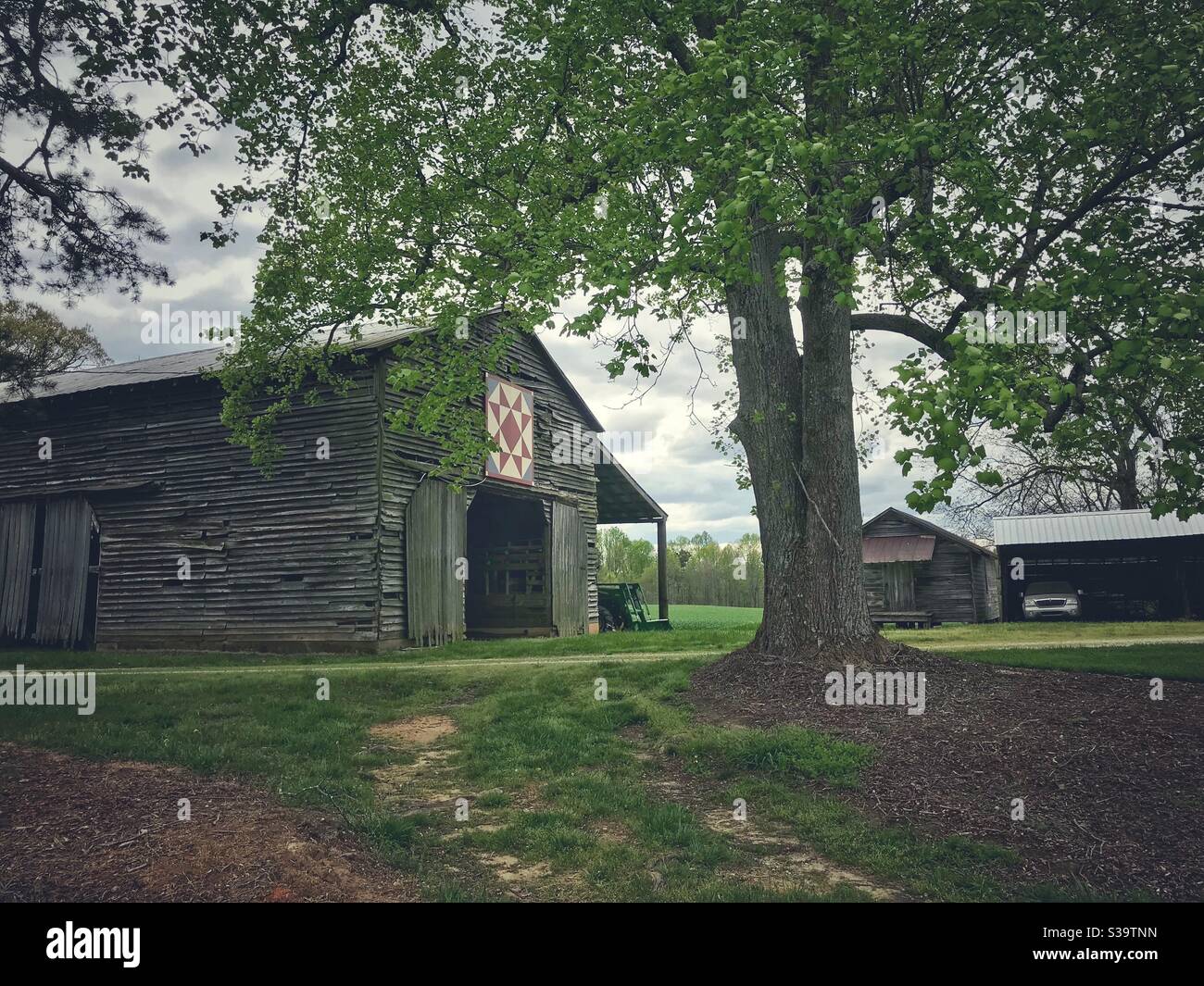 Bauernhof Schuppen auf unbekannten Bauernhof in North Carolina, Frühjahr Stockfoto