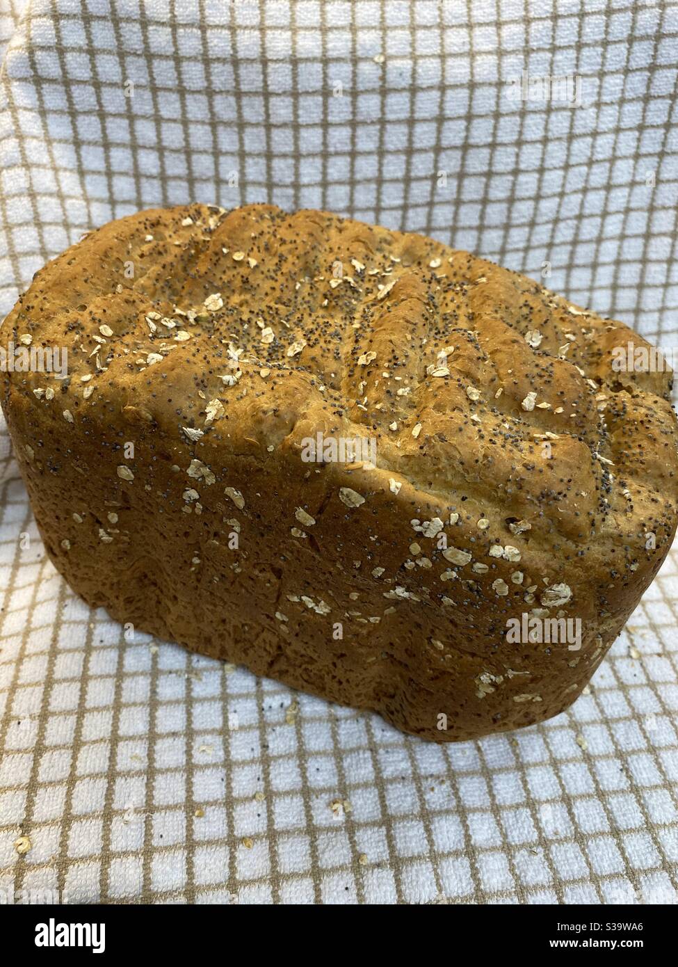 Startseite Backen, Brot, malztes Roggenbrot Stockfoto