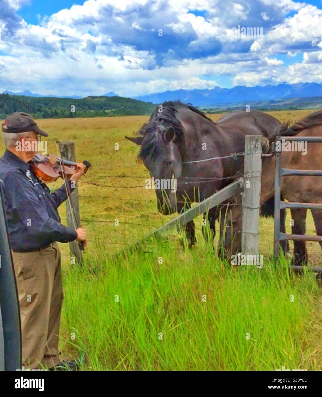 Fiddling für Pferde, Fiddler, Mann, Pferde, Rockies. Rocky Mountains Stockfoto