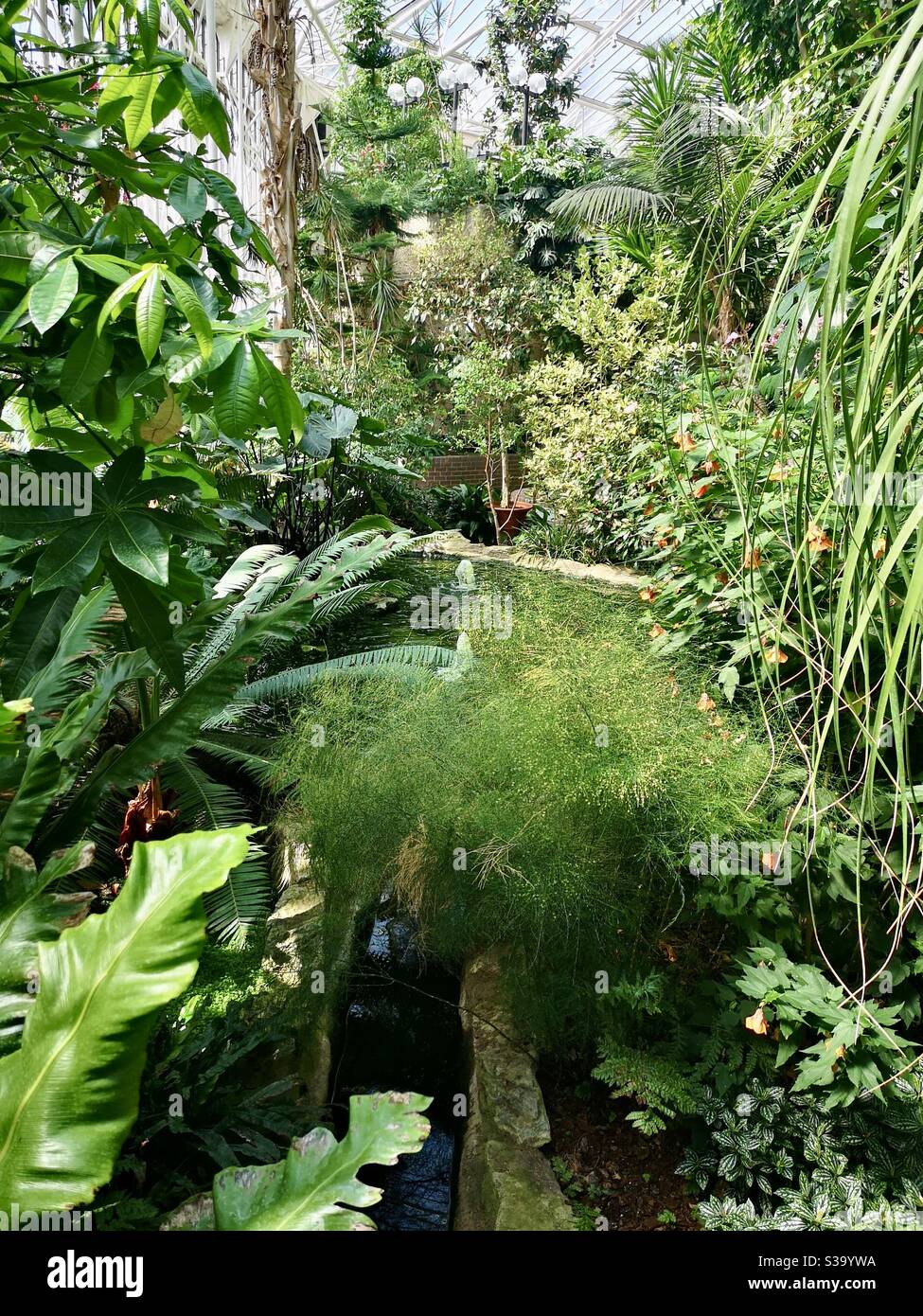 Tropische Pflanzen auf dem Wintergarten des Barbican Centre Stockfoto